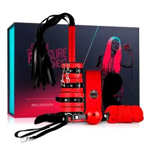 Secret Pleasure Chest - pokročilá BDSM sada - 10 dielikov (červená)